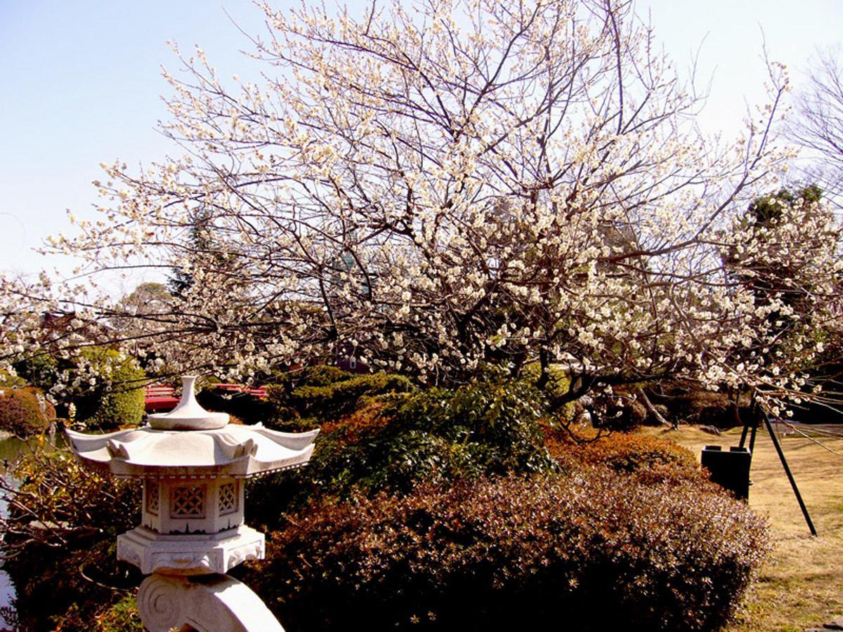 Hotel Garden Palace Kumagaya Bagian luar foto